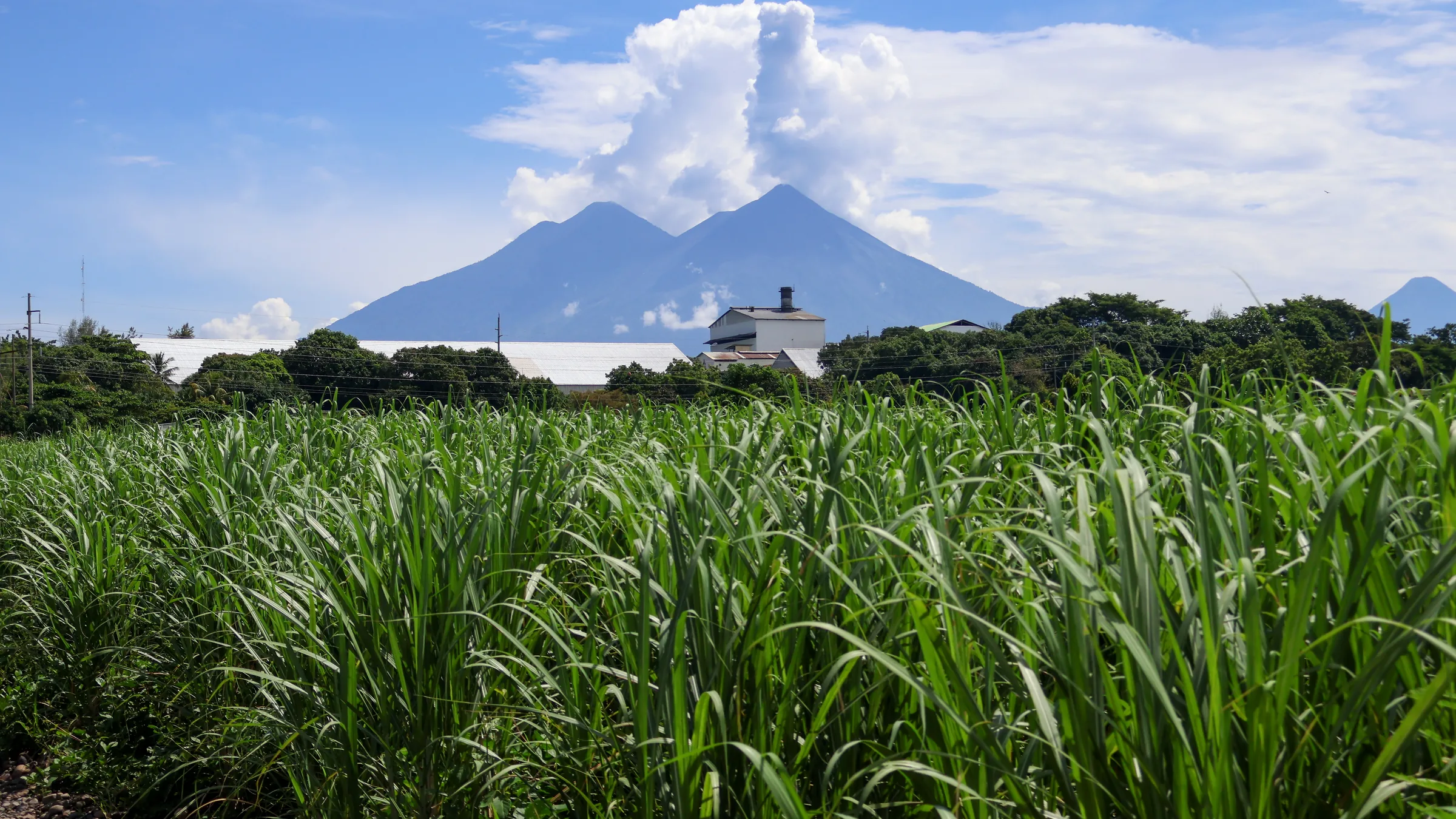 Volcanes y campo de caña — territorio guatemalteco visto por URBOP